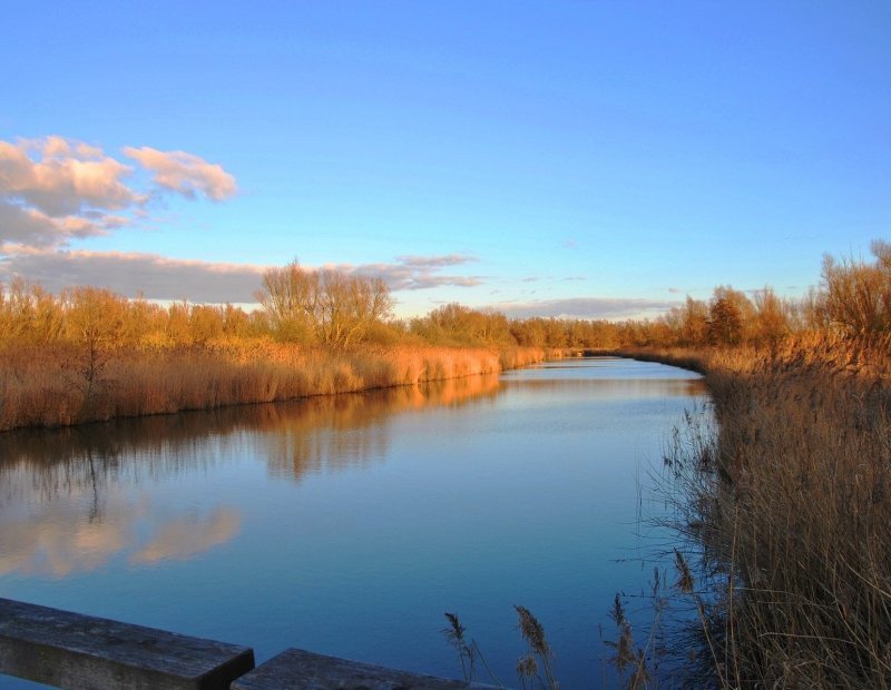 Nationalpark Nieuwland